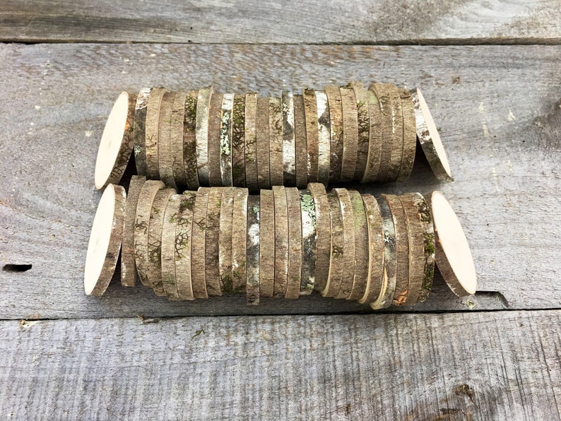 50 Maple wood slices 2 2 3/8 image 4