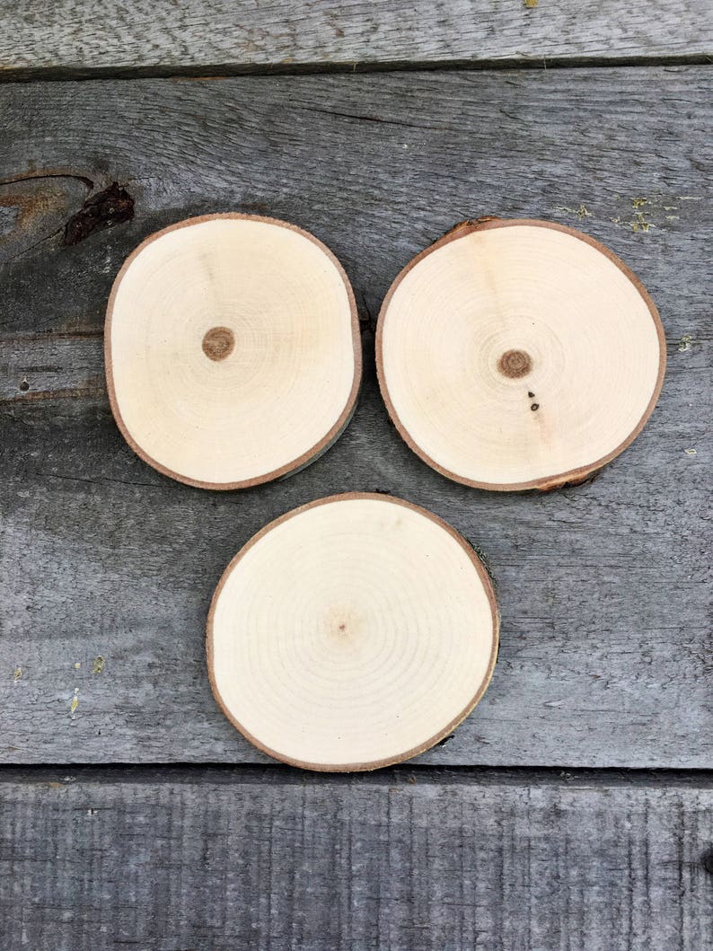 50 Maple wood slices 2.5 3.25 image 3