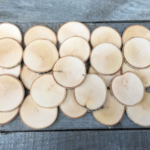 25 Birch wood slices 2" - 2 3/8"