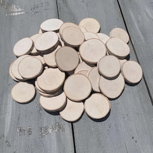 50+ Birch wood slices 2" - 2.5"