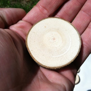 50 Maple wood slices 2 2 3/8 image 7