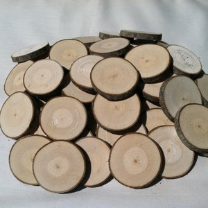 50 Maple wood slices 2 2 3/8 image 5