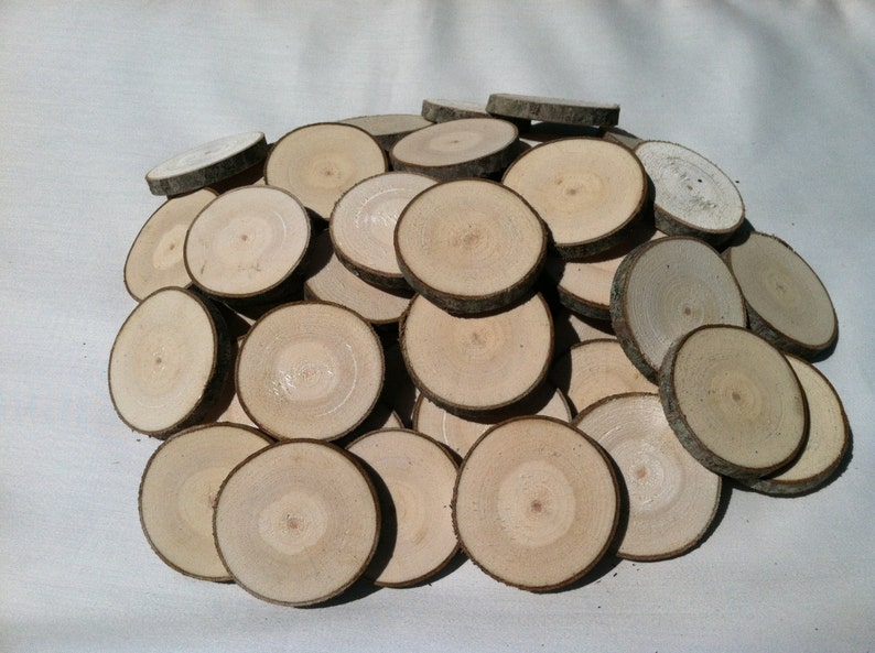 50 Maple wood slices 2 2 3/8 image 5