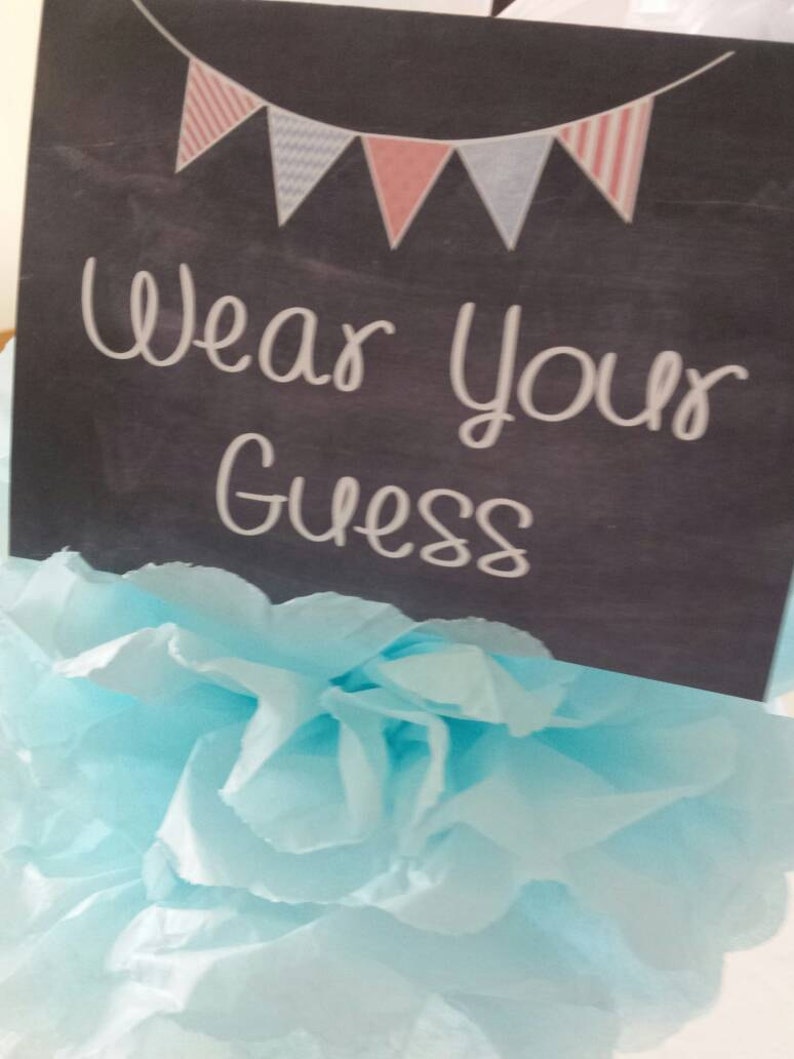 Gender Reveal Party / Wear Your Guess / Clothespin Game / Etsy