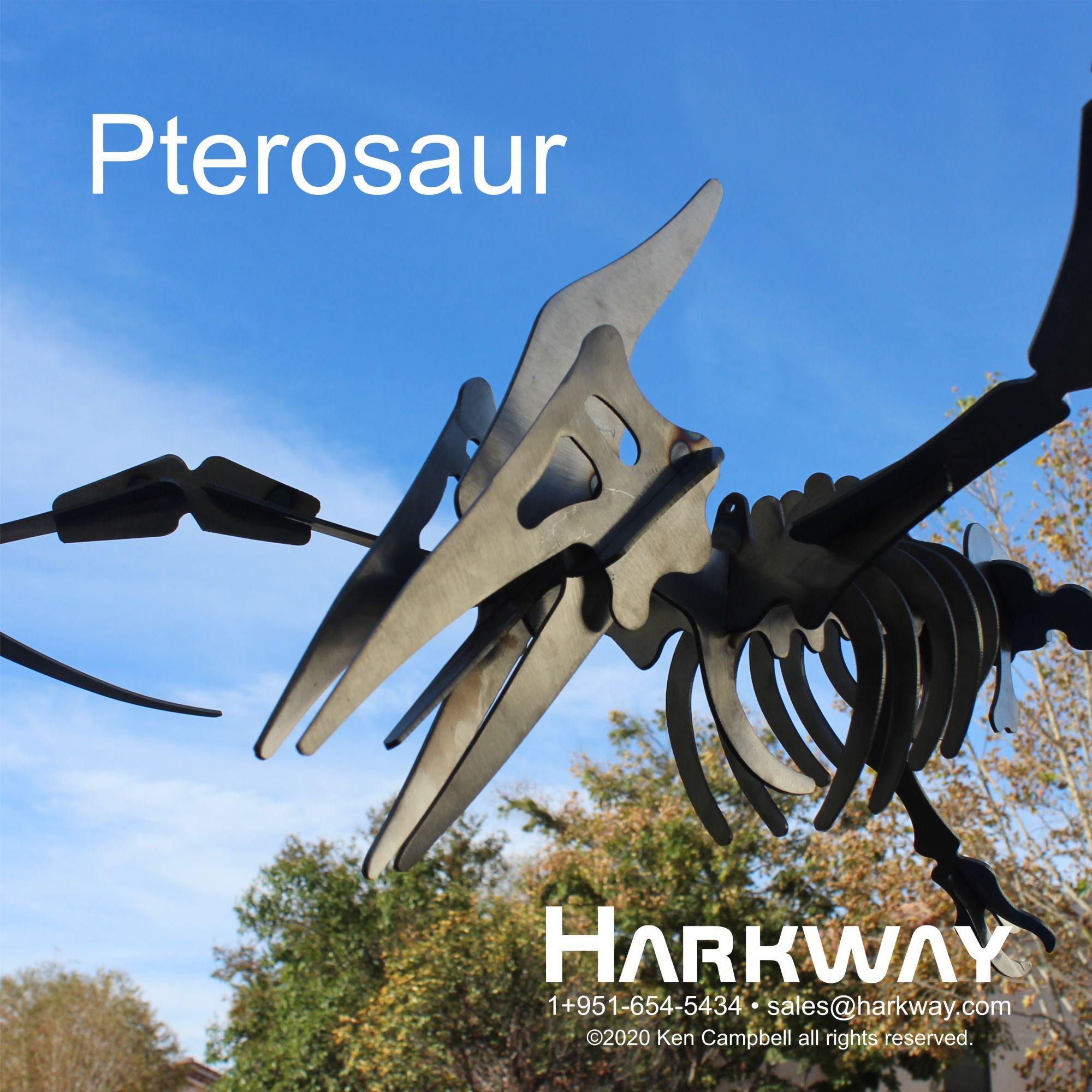 Pterodactyl Flying Life Size Statue Hanging 6 FT