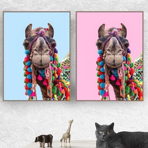 Desert camel on pink and blue background set - camel photograph printable digital download - 2 print set  - childrens room decor wall art