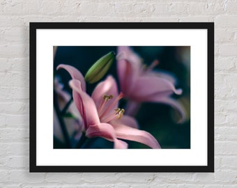 Lily flowers photograph,  Soft and dreamy Flower Photography wall art, downloadable home decor printable,  pink Lily flower wall art