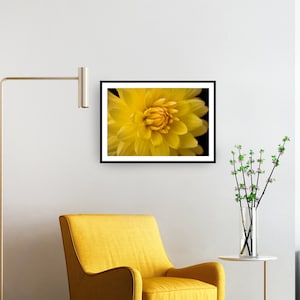 Yellow flower on black background photo print , downloadable wall art , flower photography   , floral wall art print , close up photo print