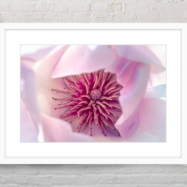 Pink Magnolia Photography print | floral printable wall art | Magnolia photo print | Downloadable flower photo | Pink flower wall art