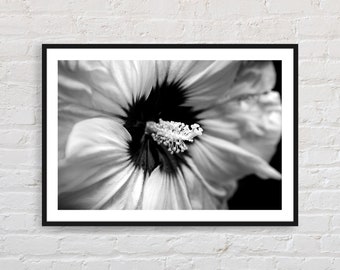 Black and white flower photography | close-up of a Hibiscus flower photo print | printable photo | floral photography wall art | Hibiscus