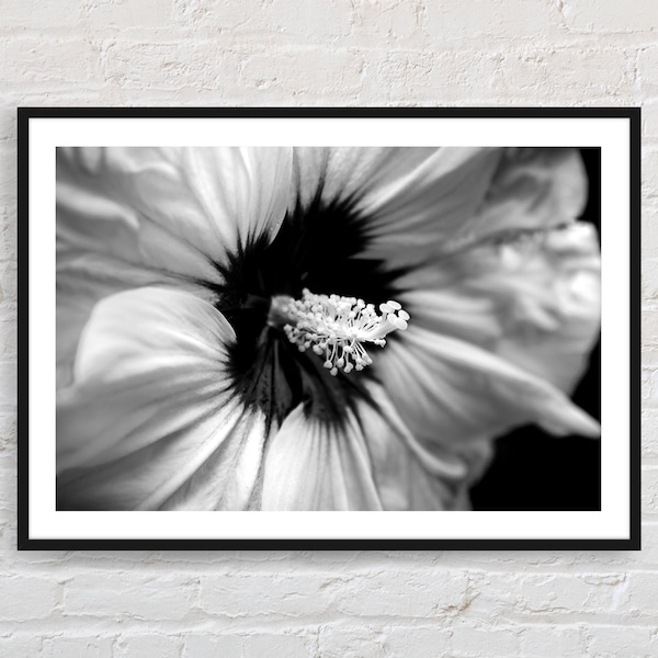 Black and white flower photography | close-up of a Hibiscus flower photo print | printable photo | floral photography wall art | Hibiscus