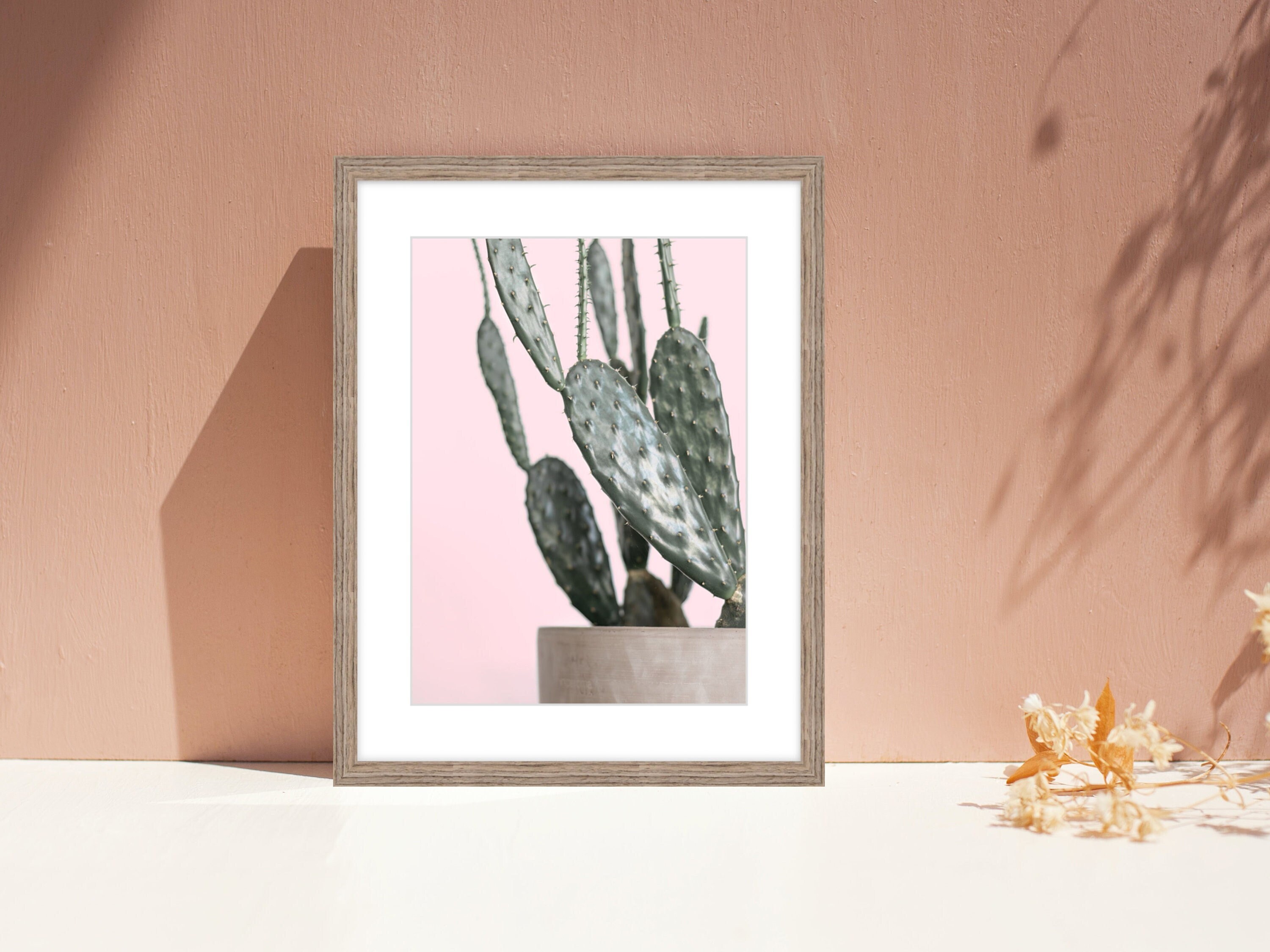 Cactus wall art print - Photography printable download , Prickly pear Cactus on pink background - cactus decor - Plants photos