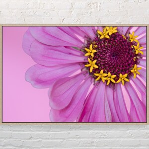 Pink flower photography | Pink Macro floral print | Printable download | Flower photo close up on a pink background