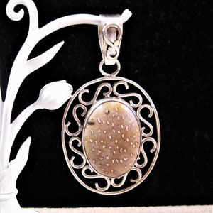 Sterling Palm Wood Fossil Pendant, Large Fancy 925 Sterling Silver Palm Wood Fossil Pendant,  Chakra Success and also evokes Tranquility