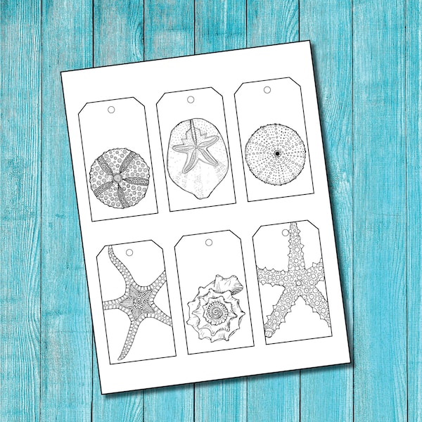 Printable Vintage Seashell Gift Tags | Vintage Sea Urchin Gift Tags | DIY Starfish Gift Tag | Seashell Wedding Favor Tags