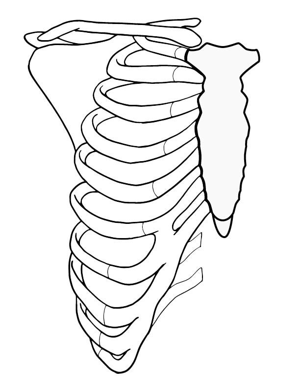 Life Size Printable Halloween Skeleton Halloween Game Halloween Party ...