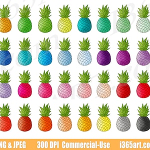 Pineapple Clipart, Pineapple Clip Art, Tropical, Rainbow Pineapples, Pineapple Fruits, Planner Sticker Icon Graphics, Scrapbooking, PNG