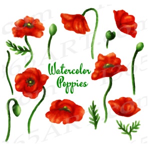 Poppy Clipart, Watercolor Poppies Clip Art, Watercolor Flowers, Elements, Hand Painted Poppy Paintings, Floral Art, Red Poppies