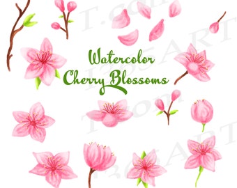 Sakura Clipart, Watercolor Sakura Clip Art, Cherry Blossoms Clipart, Japanese Flowers, Hand Painted Elements, Paintings, Floral