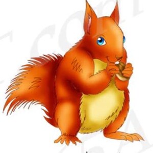 Squirrel Clipart