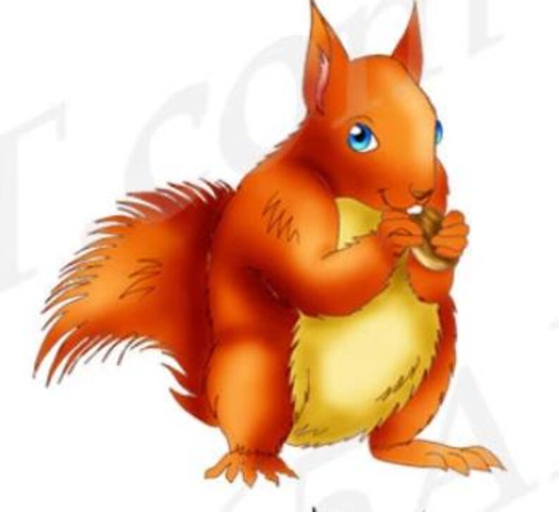 Squirrel Clipart