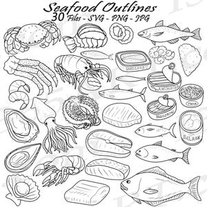 30 Seafood SVG bundle, Hand Drawn Seafood Clipart, Fish Clipart, Marine Animals Illustrations PNG JPG, Octopus, Squid, Fish Outlines vectors