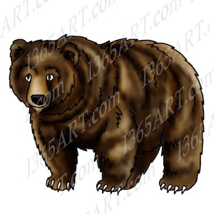 Grizzly Bear Clipart, bear clip art, wildlife clipart, Bear Graphics, Illustration, Scrapbooking, coloring page, Digital Stamp, PNG