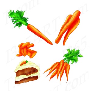 Karotten Lebensmittel Clipart, Karotten Lebensmittel Clip Art, Karottenkuchen PNG, Baby Karotten, Bund Karotten, Gemüse, PNG JPEG, Download, Karotten Grafiken