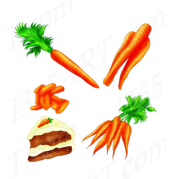 Carrot Clipart Carrot Clip Art Scrapbooking Baby Carrots Etsy