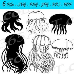 Jellyfish SVG Clipart, Jellyfish silhouette SVG, Medusa SVG, Ocean svg vectors, Jellyfish outline, Svg png jpg eps pdf formats, Cut files
