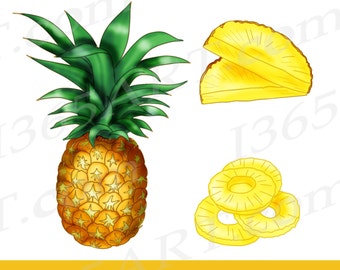 Buy 3 Get 1 Free Pineapple Fruit Clipart, Pineapple clip art, Tropical, Scrapbooking, Hand Drawn, Illustrations, Pineapple Graphics, PNG