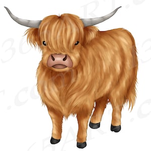 Highland Cow Clipart, Highland Cow, Cow PNG, Cute Baby Highland Cow, Farm Clipart, Watercolor Cow, Sublimation, Digital Download, Commercial