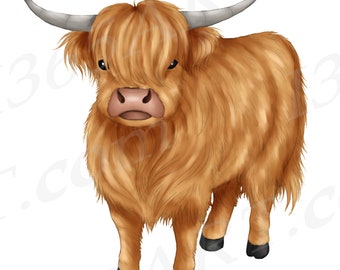 Watercolor Highland Cow Clipart, Cute Farm Animal PNG (Digital Download)