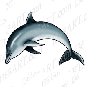 Springender Delfin Clipart, Tier, Ozean Clipart, Illustration, Scrapbooking, Malseite, Digitalstempel, JPEG PNG