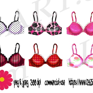 Lingerie Bra Clipart Set, Bras, Bra Clip Art, Underwear Party, Fashion, Party Invitation, Scrapbooking, PNG JPEG Download