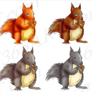 Squirrel Clipart