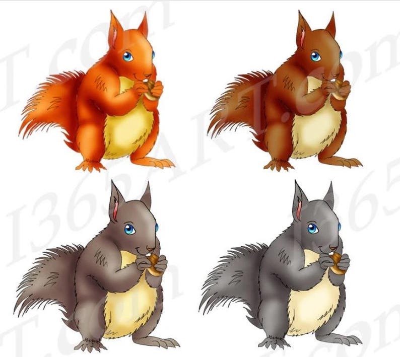 Squirrel Clipart