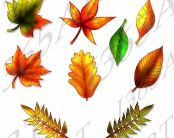 Buy 3 Get 1 Free fall clipart, Autumn clipart, autumn clipart, Scrapbooking, Party Invitations, DIY invitations, Illustrations, PNG Jpeg