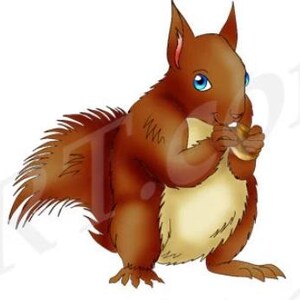 Squirrel Clipart