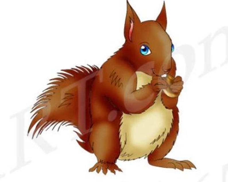 Squirrel Clipart