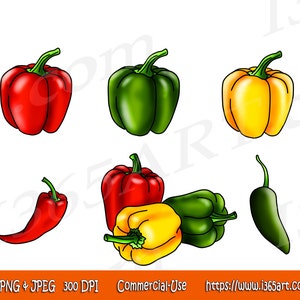 Bell Peppers Clipart, Bell Pepper Clip Art, Bright Red, Yellow, Green, Peppers, Vegetable, JPEG PNG, Instant Download Commercial
