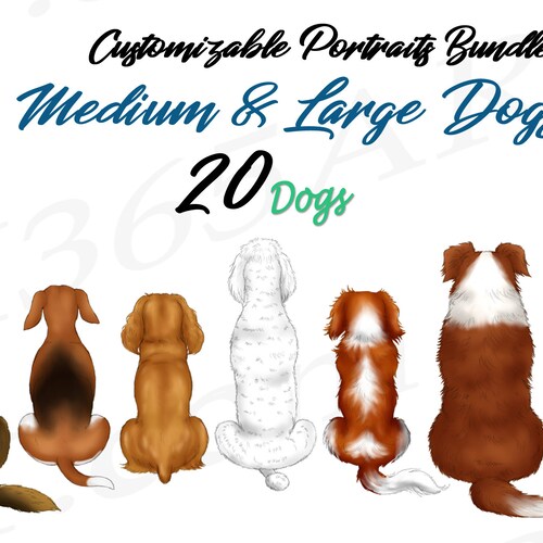 Can A Beagle And A Saint Bernard Be Friends