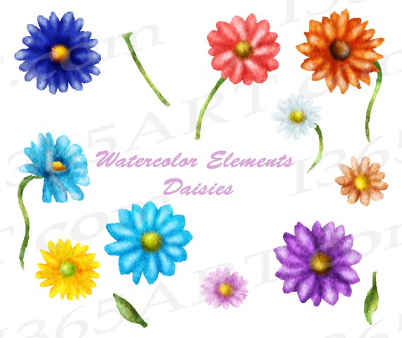 PNG Files Instant Digital Download Hand Painted Watercolor Daisies /& Tulips Printable Clip Art Spring Flowers Watercolor Flowers Clipart