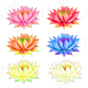 Clipart di loto, Clip art di loto, Grafica di loto, Colori dell'arcobaleno, Inviti per feste, Scrapbooking, Timbri digitali, PNG e JPEG 6 x 4, Scarica