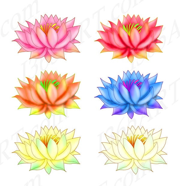 Rainbow Lotus Clipart, Hand-drawn Graphics (PNG & JPEG) - Etsy Finland