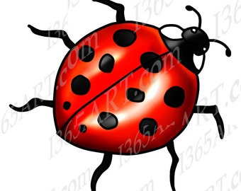 Red Ladybug Clipart, Lady Bug Clip art, Scrapbooking, Digital Stamp, Wildlife Clipart, Coloring Page, Hand Drawn, PNG, 8x8, Download