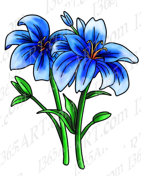 Blue Flower Clipart Blue Flower Clip Art Scrapbooking Digital Stamp Illustration Party Invitation Coloring Page Hand Drawn By I 365 Art Catch My Party