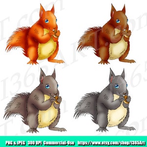 Squirrel Clipart