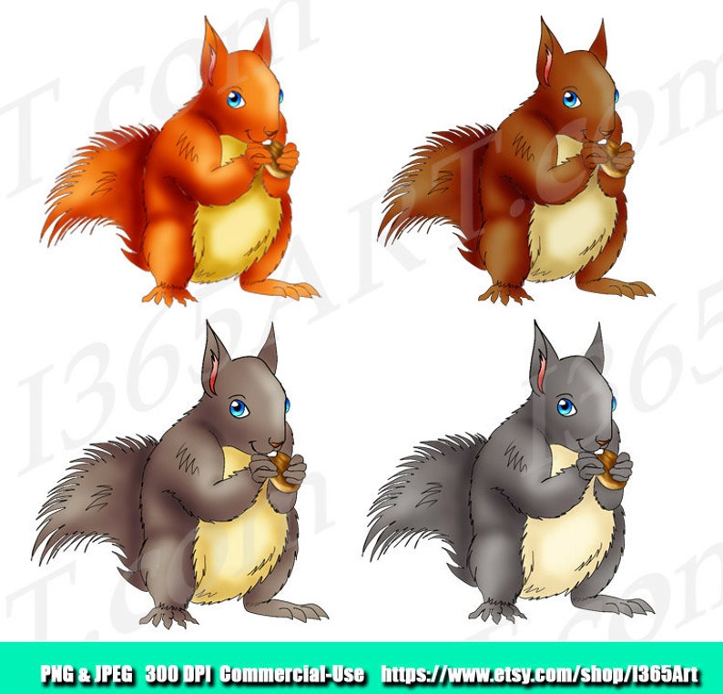 Squirrel Clipart