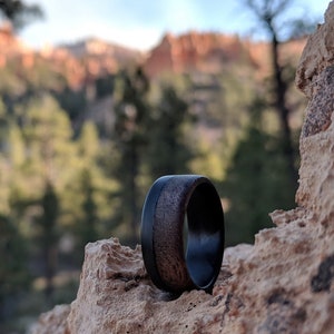 Walnut Wedding Ring, Carbon Fiber Rings, Men's Wooden Band with Carbon Fiber, Wood Rings for Him- The Craftsman